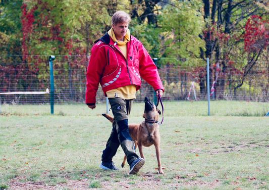 © Verein für Deutsche Schäferhunde (SV) e.V. Ortsgruppe Pankow, Berlin