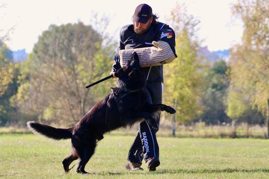 © Verein für Deutsche Schäferhunde (SV) e.V. Ortsgruppe Pankow